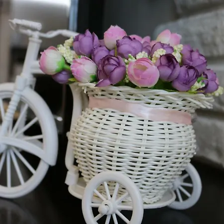 сем. павлови Apartment *